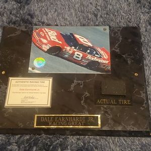 Dale Earnhardt Jr. Racing Great Portrait